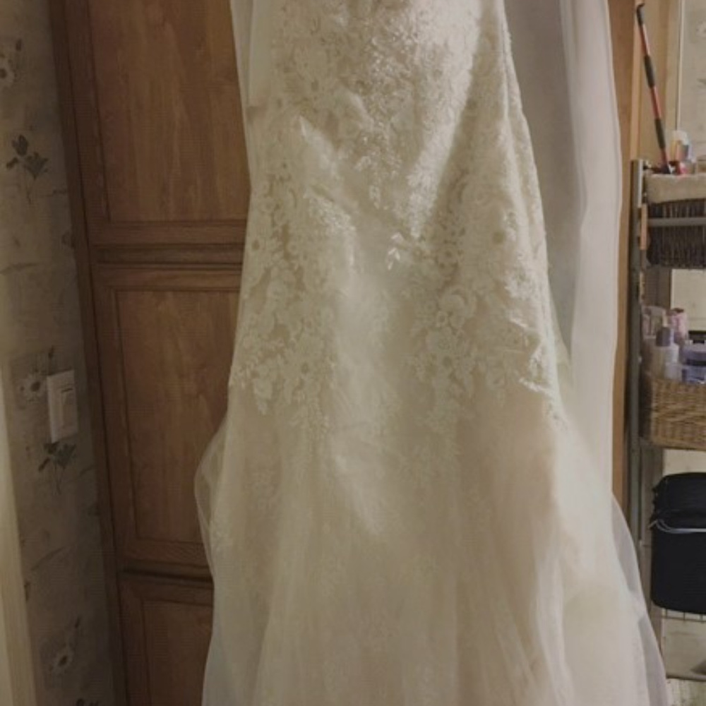 Wedding Gown/Veil and Jewelry